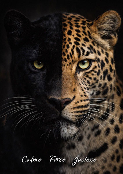 panthere animal totem